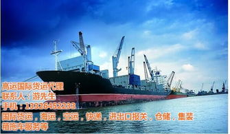 航海新丝路 从广州黄埔到迪拜的海上国际货物运输全景