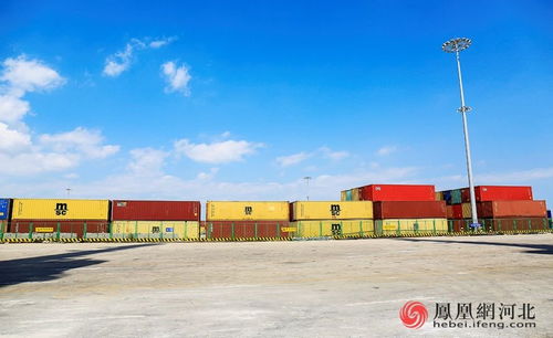 曹妃甸综合保税区 业务版图持续扩展，国际化前景无限